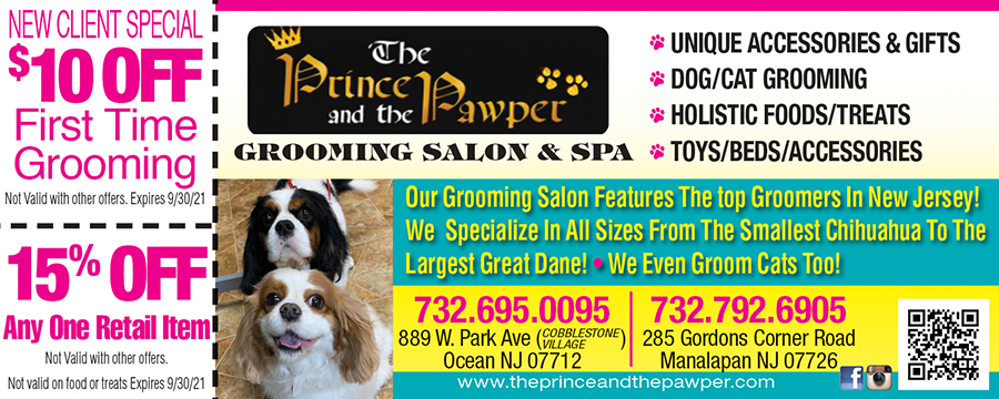 The Prince & The Pawper Dog Grooming
