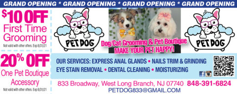 Amazing Dog Grooming Supplies Coupon in the world Don t miss out 