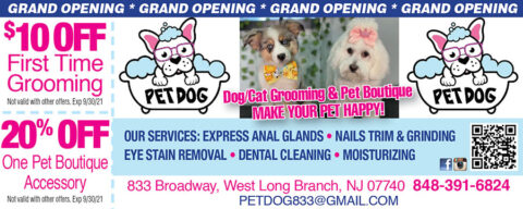 Pet Dog Grooming | Coupon Connection NJ - Pet Grooming Coupons In My City