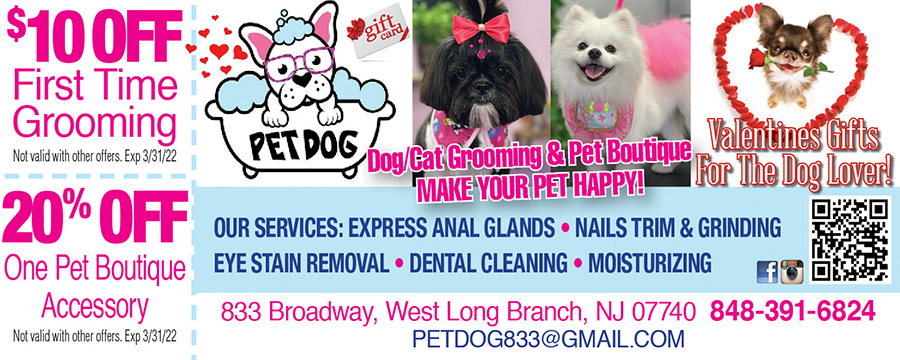 Pet Dog Dog/Cat Grooming & Pet Boutique
