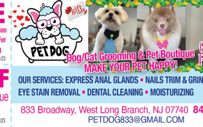 Pet Dog Grooming & Pet Boutique