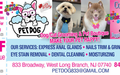 Pet Dog Dog Grooming & Pet Boutique