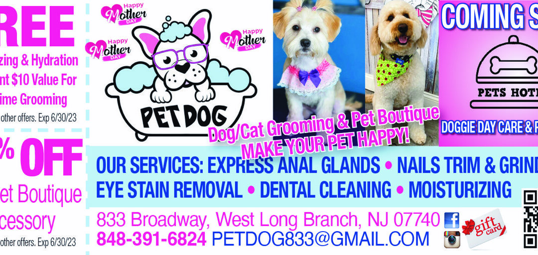 Pet Dog Grooming & Boutique
