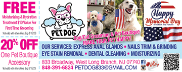 Pet Dog Grooming Services