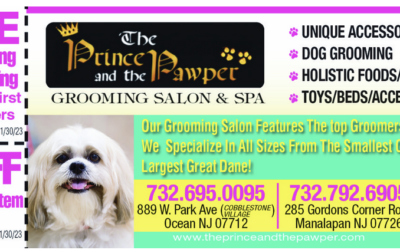 The Prince & The Pawper Dog Grooming & Boutique
