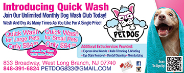 Pet Dog Grooming & Dog Boutique