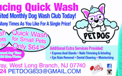 Pet Dog Grooming & Unlimited Monthly Dog Wash Club