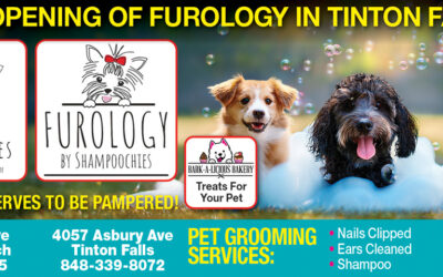 Shampoochies In West Long Branch & Furology Pet Grooming Services In Tinton Falls