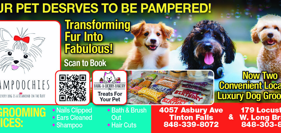 Shampoochies Luxury Dog Grooming In West Long Branch & Tinton Falls