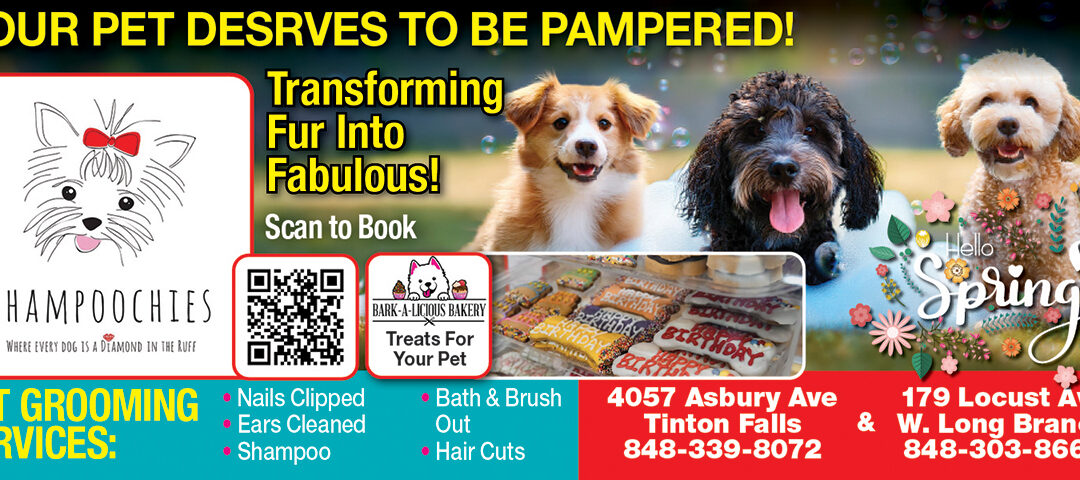 Shampoochies In West Long Branch & Tinton Falls…Your Pet Deserves To Be Pampered!