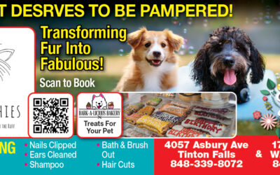 Shampoochies In West Long Branch & Tinton Falls…Your Pet Deserves To Be Pampered!