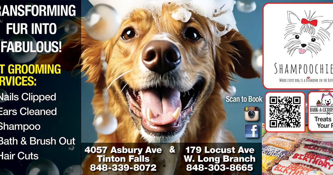 Shampoochies Dog Grooming In West Long Branch & Tinton Falls-Turning Fur Into Fabilous